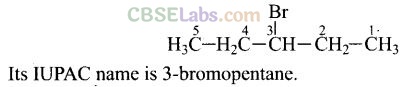 NCERT Exemplar Class 12 Chemistry Chapter 10 Haloalkanes and Haloarenes-1