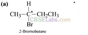 NCERT Exemplar Class 12 Chemistry Chapter 10 Haloalkanes and Haloarenes-6