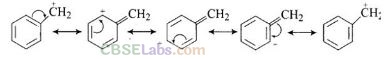 NCERT Exemplar Class 12 Chemistry Chapter 10 Haloalkanes and Haloarenes-7