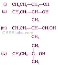 Haloalkanes And Haloarenes NCERT Exemplar Class 12