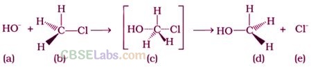 NCERT Exemplar Class 12 Chemistry Chapter 10 Haloalkanes and Haloarenes-15