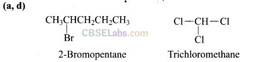 NCERT Exemplar Class 12 Chemistry Chapter 10 Haloalkanes and Haloarenes-17