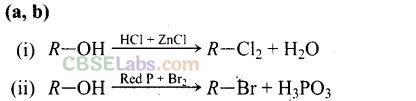 NCERT Exemplar Class 12 Chemistry Chapter 10 Haloalkanes and Haloarenes-22