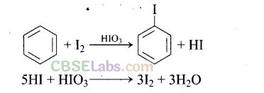 NCERT Exemplar Class 12 Chemistry Chapter 10 Haloalkanes and Haloarenes-23