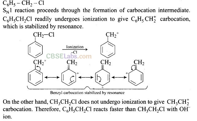 NCERT Exemplar Class 12 Chemistry Chapter 10 Haloalkanes and Haloarenes-25