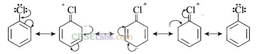 NCERT Exemplar Class 12 Chemistry Chapter 10 Haloalkanes and Haloarenes-26