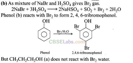 NCERT Exemplar Class 12 Chemistry Chapter 10 Haloalkanes and Haloarenes-29