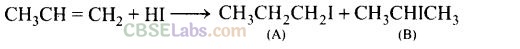 NCERT Exemplar Class 12 Chemistry Chapter 10 Haloalkanes and Haloarenes-30