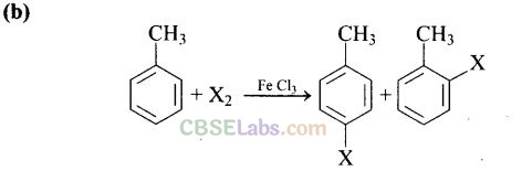 NCERT Exemplar Haloalkanes And Haloarenes Class 12