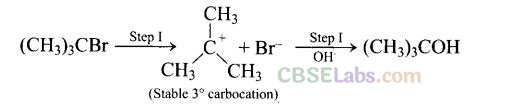 NCERT Exemplar Class 12 Chemistry Chapter 10 Haloalkanes and Haloarenes-43