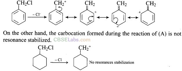 NCERT Exemplar Class 12 Chemistry Chapter 10 Haloalkanes and Haloarenes-45