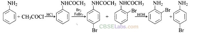 NCERT Exemplar Class 12 Chemistry Chapter 10 Haloalkanes and Haloarenes-51