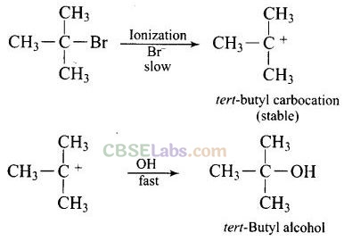NCERT Exemplar Class 12 Chemistry Chapter 10 Haloalkanes and Haloarenes-54