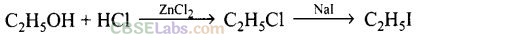 NCERT Exemplar Class 12 Chemistry Chapter 10 Haloalkanes and Haloarenes-58