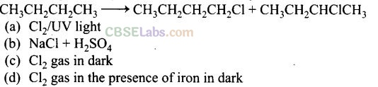 NCERT Exemplar Haloalkanes And Haloarenes Solutions Class 12