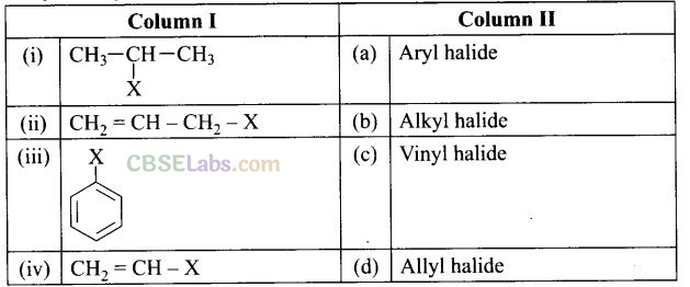 NCERT Exemplar Class 12 Chemistry Chapter 10 Haloalkanes and Haloarenes-61