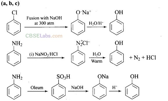 NCERT Exemplar Class 12 Chemistry Chapter 11 Alcohols, Phenols and Ethers-4