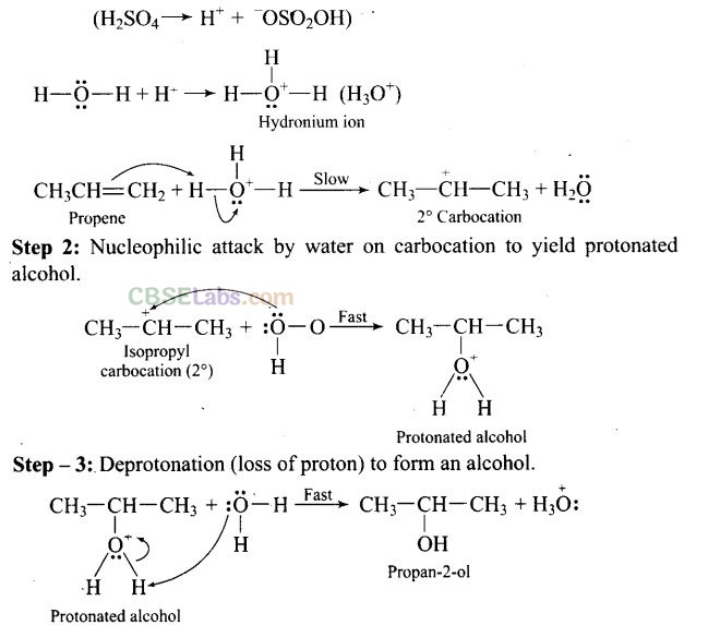 NCERT Exemplar Class 12 Chemistry Chapter 11 Alcohols, Phenols and Ethers-23