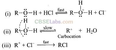 NCERT Exemplar Class 12 Chemistry Chapter 11 Alcohols, Phenols and Ethers-25