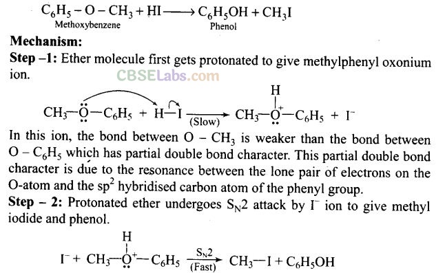 NCERT Exemplar Class 12 Chemistry Chapter 11 Alcohols, Phenols and Ethers-43