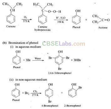 NCERT Exemplar Class 12 Chemistry Chapter 11 Alcohols, Phenols and Ethers-44