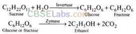 NCERT Exemplar Class 12 Chemistry Chapter 11 Alcohols, Phenols and Ethers-47