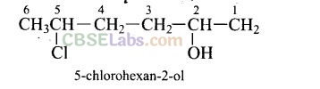 NCERT Exemplar Class 12 Chemistry Chapter 11