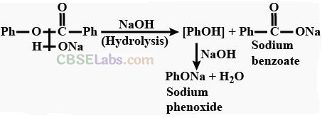 NCERT Exemplar Class 12 Chemistry Chapter 12 Aldehydes, Ketones and Carboxylic Acids-20