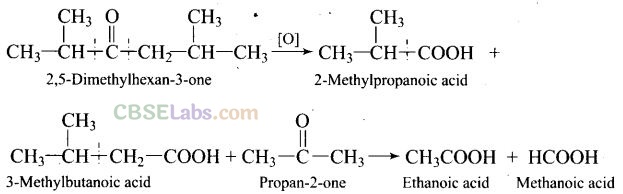NCERT Exemplar Class 12 Chemistry Chapter 12 Aldehydes, Ketones and Carboxylic Acids-33