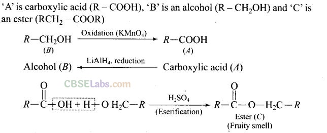 NCERT Exemplar Class 12 Chemistry Chapter 12 Aldehydes, Ketones and Carboxylic Acids-35