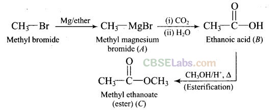 NCERT Exemplar Class 12 Chemistry Chapter 12 Aldehydes, Ketones and Carboxylic Acids-40