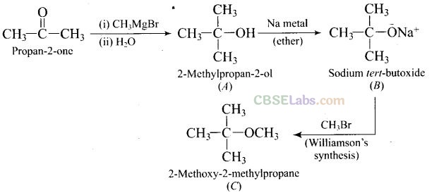 NCERT Exemplar Class 12 Chemistry Chapter 12 Aldehydes, Ketones and Carboxylic Acids-43