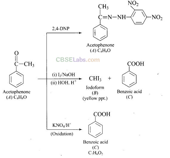 NCERT Exemplar Class 12 Chemistry Chapter 12 Aldehydes, Ketones and Carboxylic Acids-56