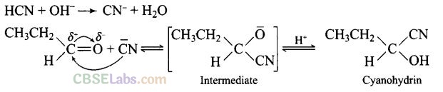 NCERT Exemplar Class 12 Chemistry Chapter 12 Aldehydes, Ketones and Carboxylic Acids-58
