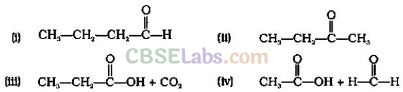 NCERT-Exemplar-Class-12-Chemistry-Chapter-12-Aldehydes-Ketones-and-Carboxylic-Acids-1