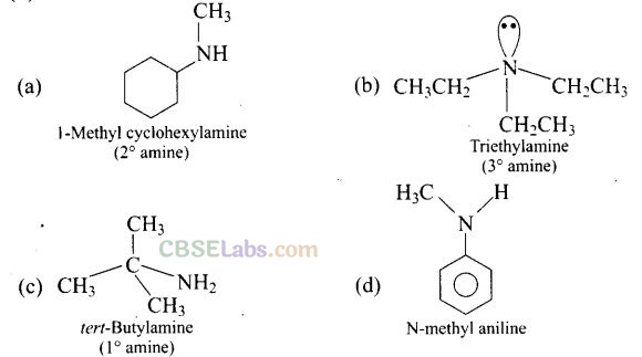 NCERT-Exemplar-Class-12-Chemistry-Chapter-13-Amines-1