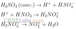 NCERT Exemplar Class 12 Chemistry Chapter 13 Amines-16