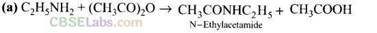 NCERT Exemplar Class 12 Chemistry Chapter 13 Amines-19