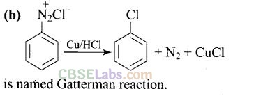 NCERT Exemplar Class 12 Chemistry Chapter 13 Amines-21