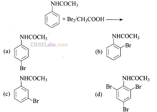NCERT Exemplar Class 12 Chemistry Chapter 13 Amines-31