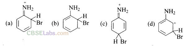 NCERT Exemplar Class 12 Chemistry Chapter 13 Amines-33
