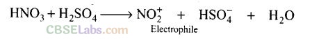 NCERT Exemplar Class 12 Chemistry Chapter 13 Amines-39