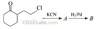 NCERT Exemplar Class 12 Chemistry Chapter 13 Amines-56