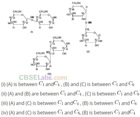 NCERT Exemplar Class 12 Biomolecules