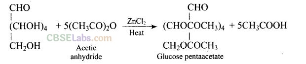 NCERT Exemplar Class 12 Chemistry Chapter 14 Biomolecules-5