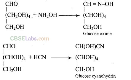 NCERT Exemplar Class 12 Chemistry Chapter 14 Biomolecules-13