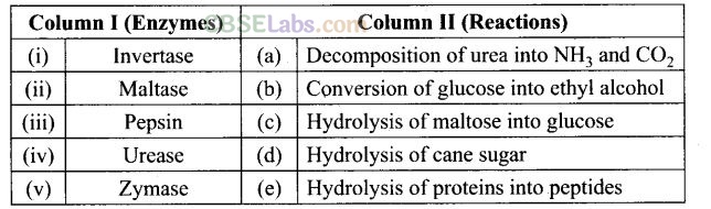 NCERT Exemplar Class 12 Chemistry Chapter 14 Biomolecules-19