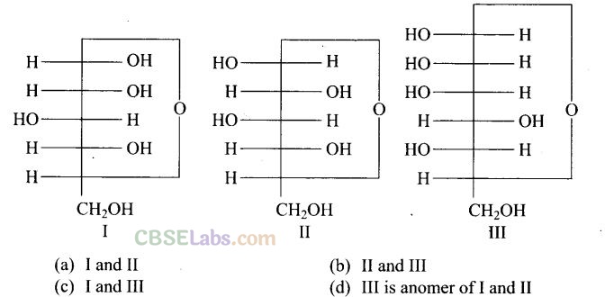 NCERT Exemplar Biomolecules Class 12