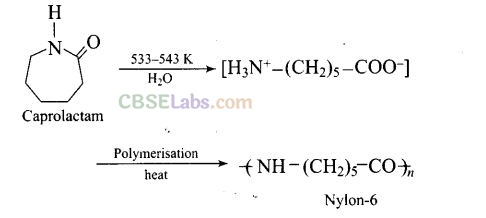 NCERT Exemplar Class 12 Chemistry Chapter 15 Polymers-9