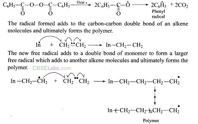 NCERT Exemplar Class 12 Chemistry Chapter 15 Polymers-20